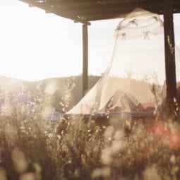 Bed with a mosquito net in a field under a wooden pergola.
