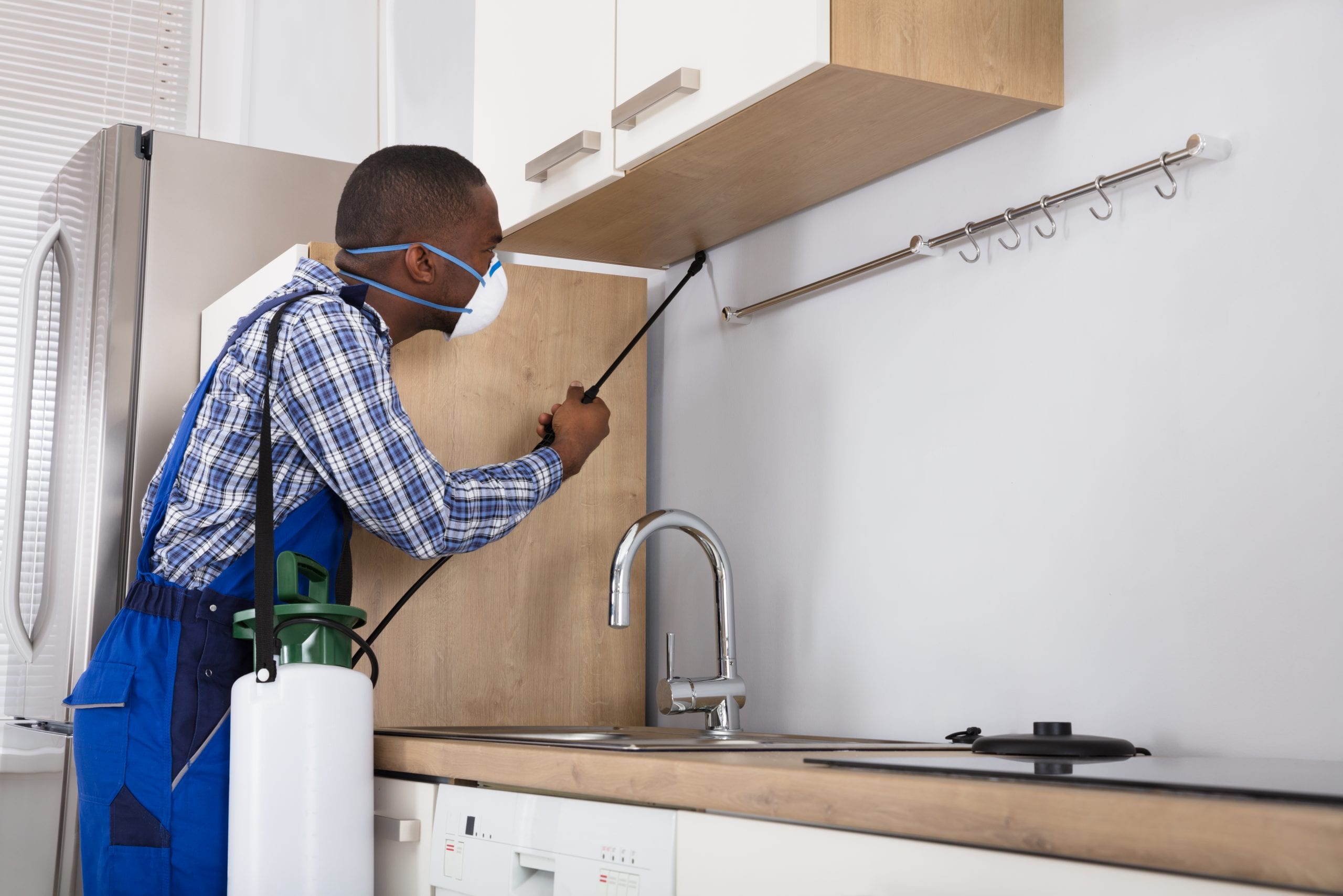 Pest control technician spraying in a kitchen for pests.