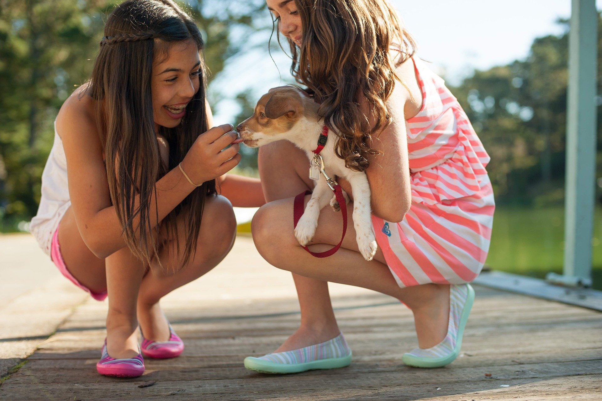 Two girls holding a puppy.