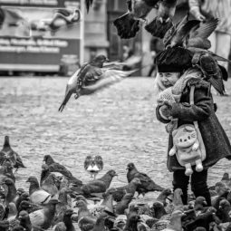 child surrounded by pigeons