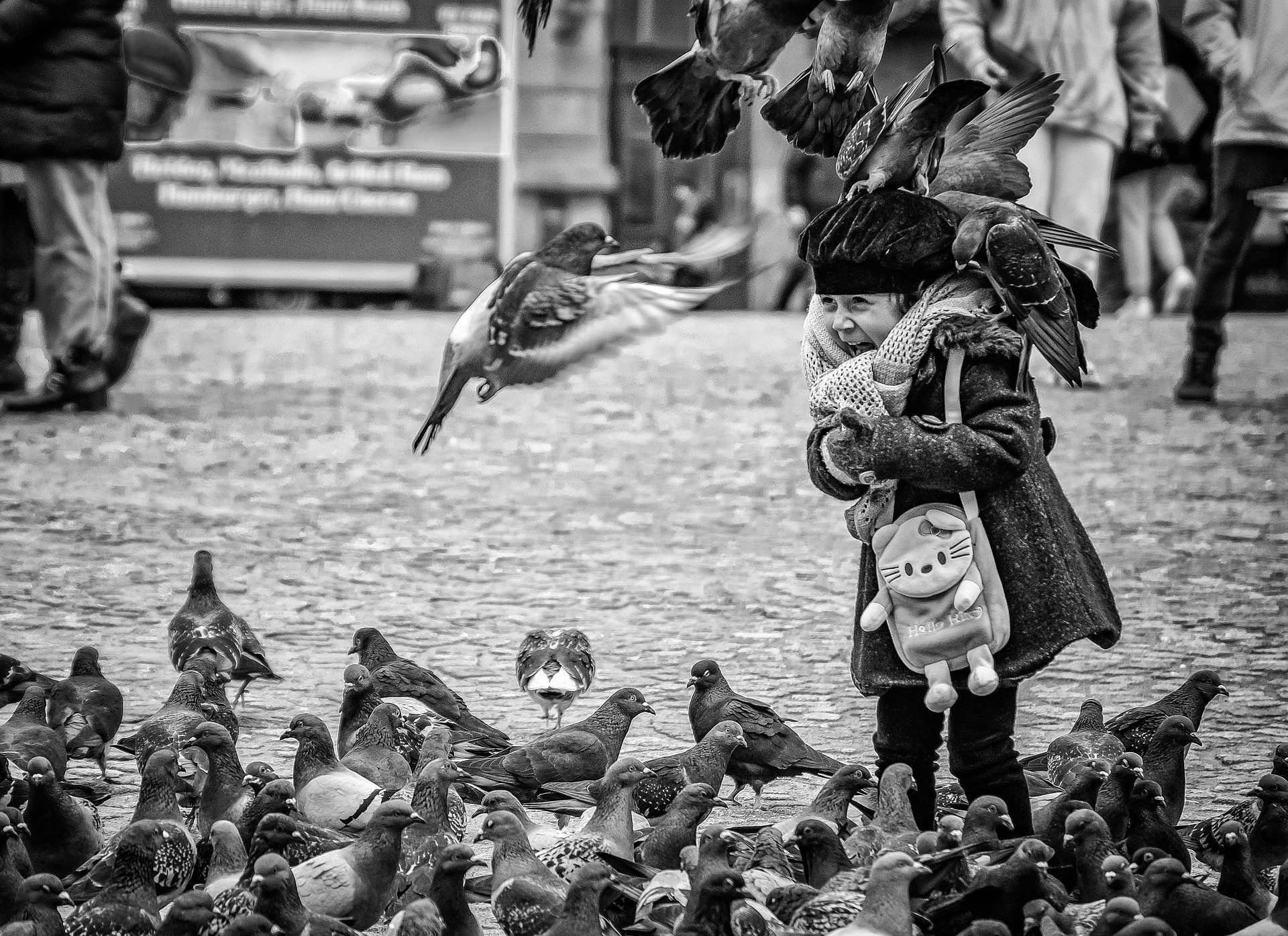 child surrounded by pigeons