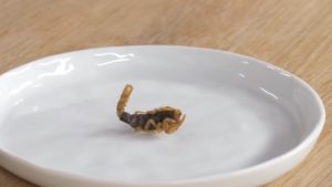 scorpion on the plate