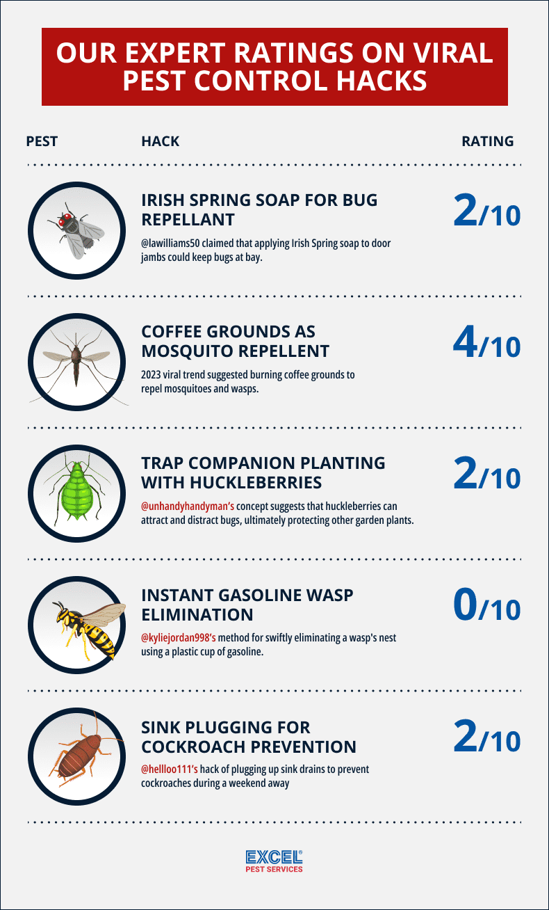Infographic. Our experts ratings on viral pest control hacks.